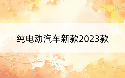 纯电动汽车新款2023款