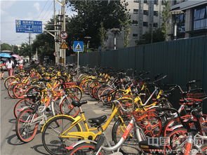 共享单车对中国经济的影响