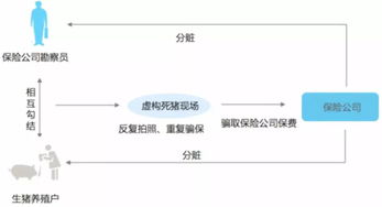 保险欺诈案例并用大数据进行具体分析