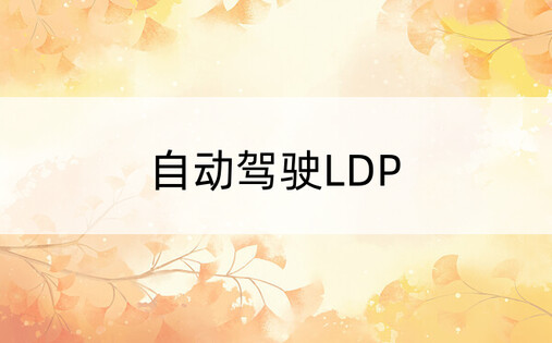 自动驾驶LDP