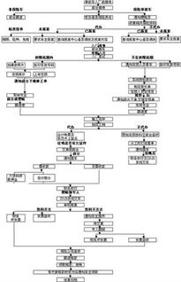 汽车保险理赔的基本流程?(客户、保险公司)