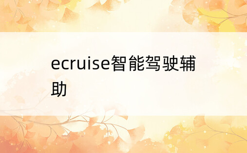 ecruise智能驾驶辅助