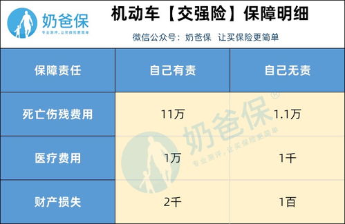 车辆保险预算工具