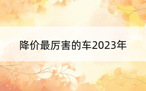 降价最厉害的车2023年