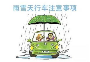 雨雪天气开车注意安全