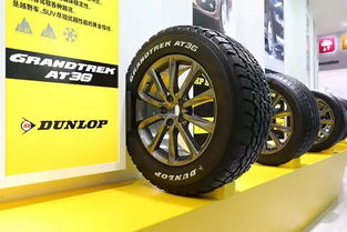 性能车轮胎品牌