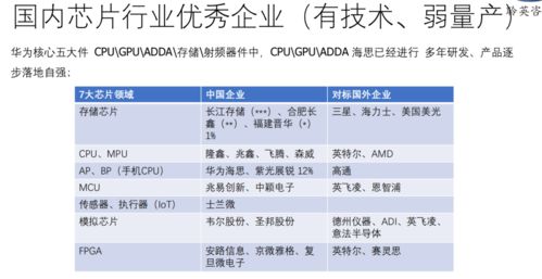 车展行业现状分析报告