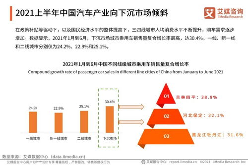 中国消费者的汽车购买行为案例分析