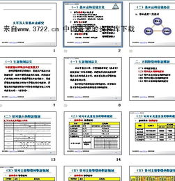 保险公司车险理赔标准