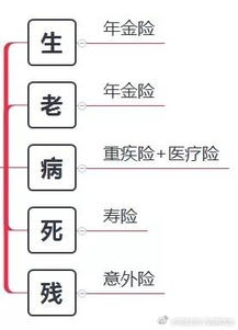 车辆投保方案