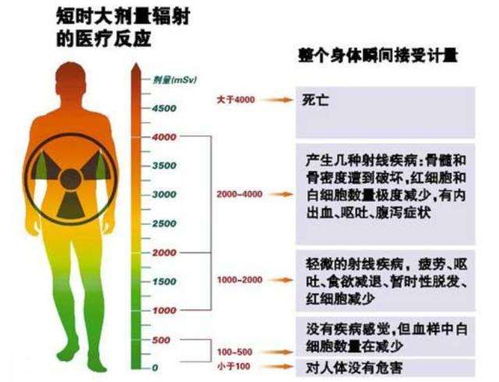 夜视功能对人体有害吗