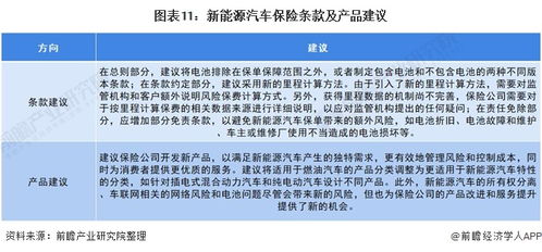 新能源汽车保险分析报告总结