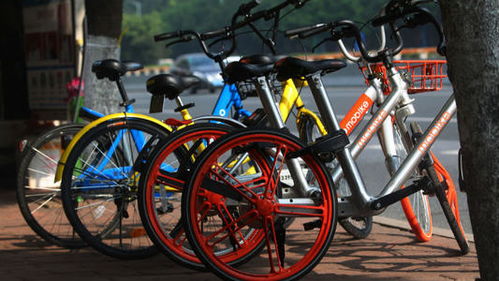 共享单车对经济发展的影响