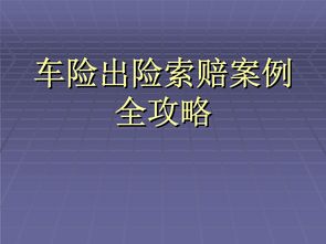 车险理赔经典案例分享