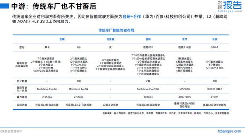 长途驾驶的利弊分析报告