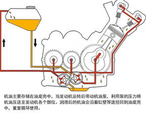 汽车润滑油的更换周期和加注方法