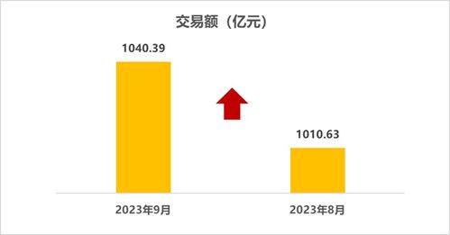 2023年二手车市场分析表