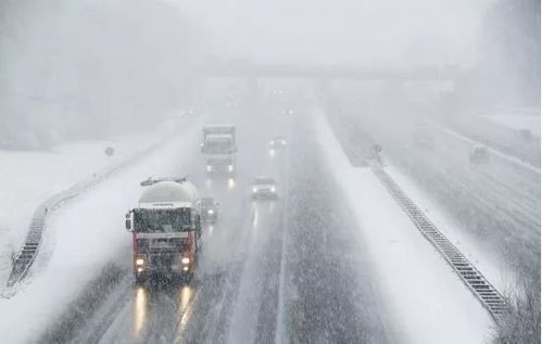 雪天行车时，应及时开启什么灯光