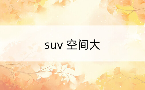 suv 空间大